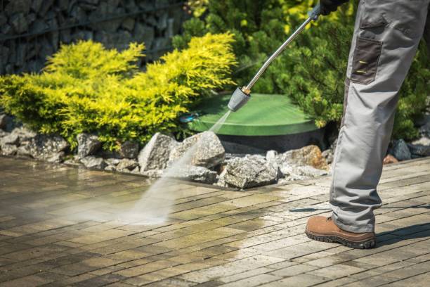 Best Roof Washing  in Dallas, GA